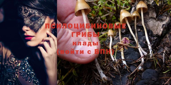 мет Алексеевка
